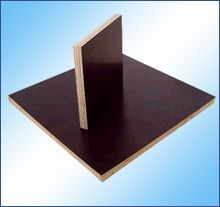 門窗 建筑的詩眼與家的守護者